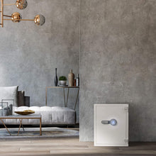 Load image into Gallery viewer, Barska 4.48 CF Large Heavy-Duty Fireproof Biometric Safe (SAK83490)